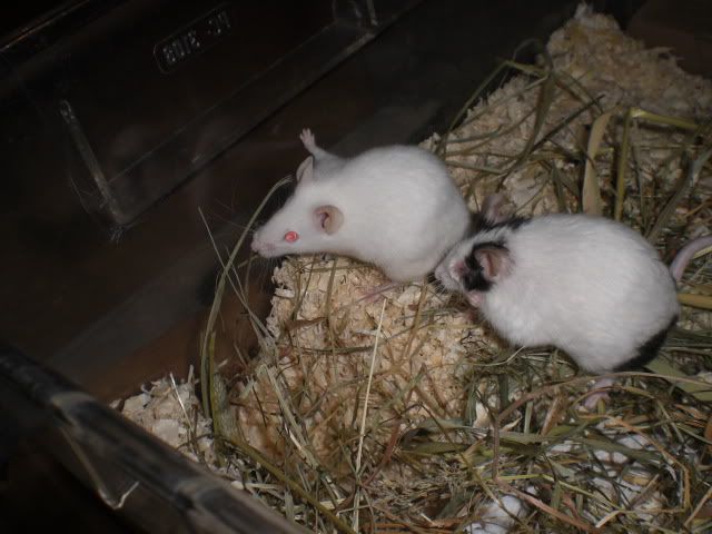 CIMG7558.jpg
