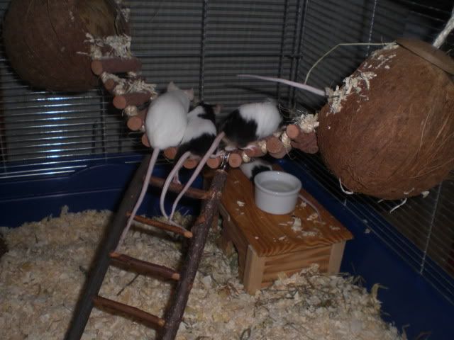 CIMG7780.jpg