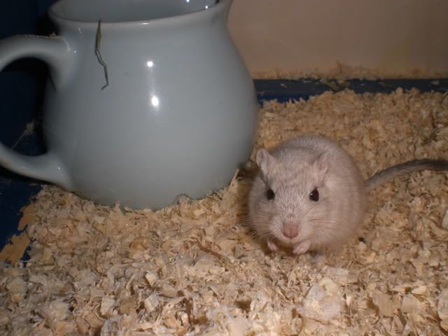 CIMG7873.jpg