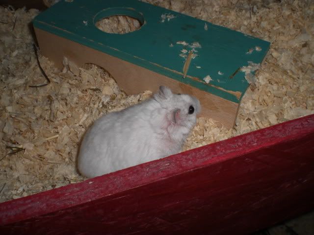 CIMG9110.jpg
