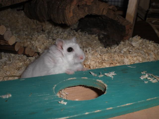 CIMG9113.jpg