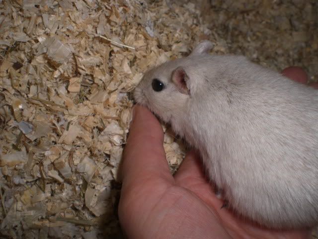 CIMG9585.jpg