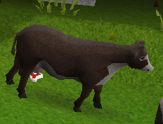 Cow-27.png