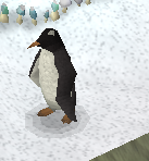 Penguin-104.png