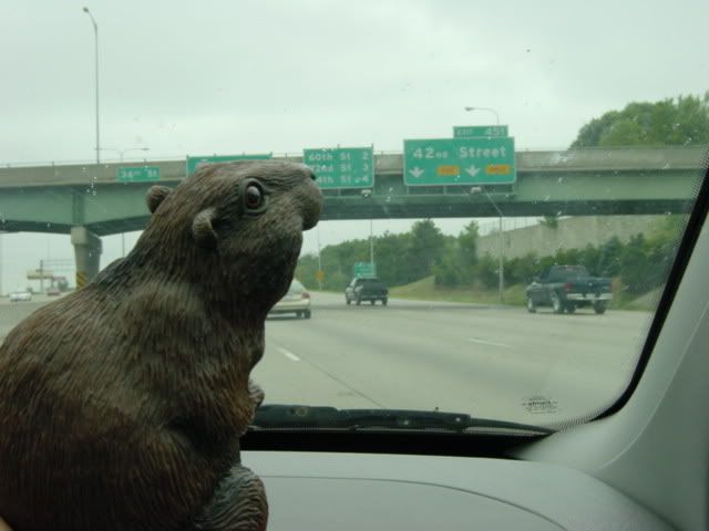 TripWest043.jpg why is that beaver driving?!?! image by nubbenstein