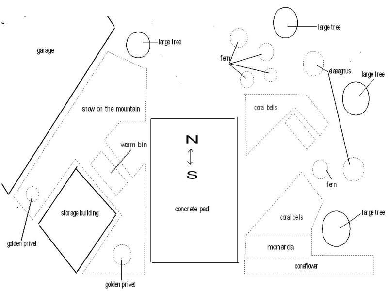 planning-shady-rocky-area-planting-plan-permaculture