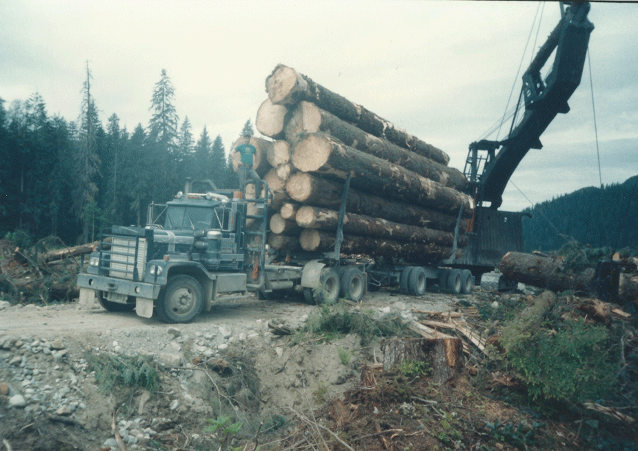 Friell Lake Logging | Heavy Equipment Forums