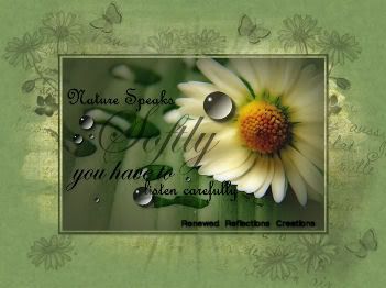 photo nature_BLANK_rrc.jpg