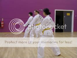 Olympic Taekwondo | Pat
terns, Sparring, Translations &amp; Blog